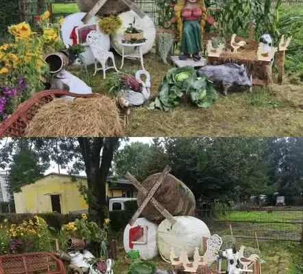 Witacze dożynkowe z gminy Gronowo Elbląskie walczą o tytuł najpiękniejszego