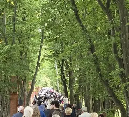 Gietrzwałd: 149. rocznica Objawień i 60. Dożynki Archidiecezjalne