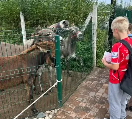 Uczniowie klas 2b i 3d odwiedzili Mini Zoo w Jantarze