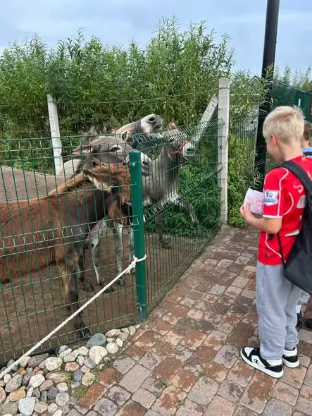 Uczniowie klas 2b i 3d odwiedzili Mini Zoo w Jantarze