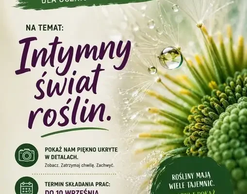 Konkurs fotograficzny w Elblągu – prace można przesyłać do 19 września
