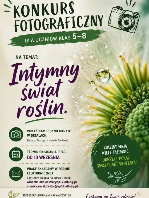 Konkurs fotograficzny w Elblągu – prace można przesyłać do 19 września