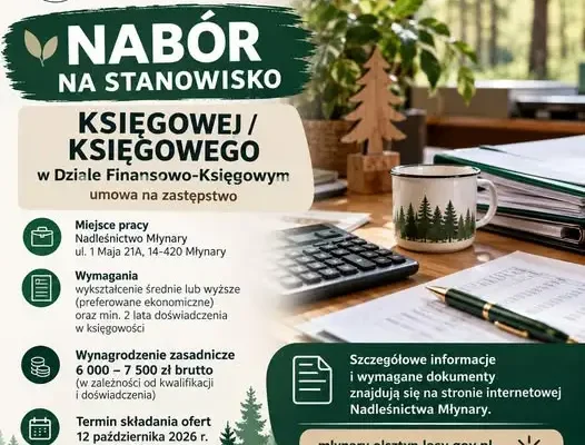 Nadleśnictwo Młynary szuka księgowej lub księgowego – umowa na zastępstwo