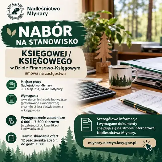 Nadleśnictwo Młynary szuka księgowej lub księgowego – umowa na zastępstwo