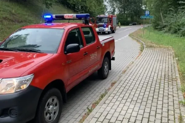 Pożar sadzy w kominie w Tolkmicku – nocna interwencja strażaków