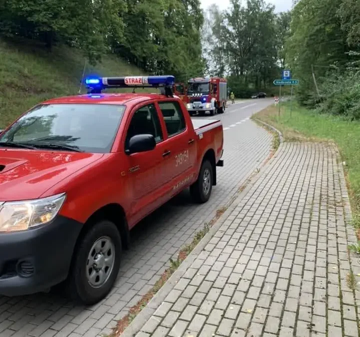 Pożar sadzy w kominie w Tolkmicku – nocna interwencja strażaków