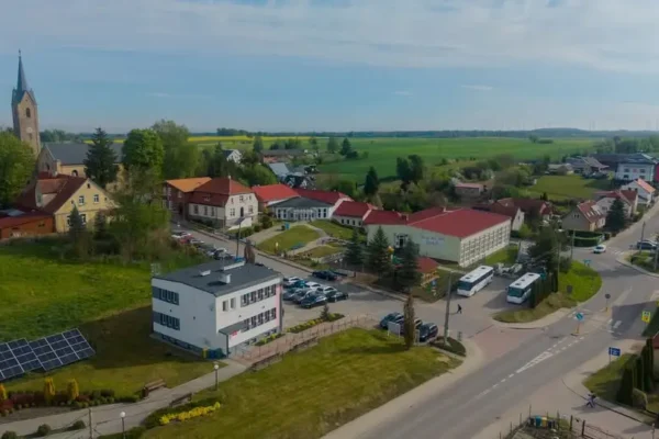 Elbląg: wzrost zagrożenia ptasią grypą – służby apelują o zgłaszanie padłych ptaków