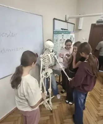 Lekcja anatomii w praktyce – klasa VII poznaje układ ruchu na modelu szkieletu