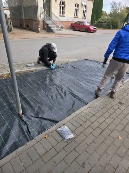 Markus: centrum wsi z nową zielenią dzięki funduszowi sołeckiemu