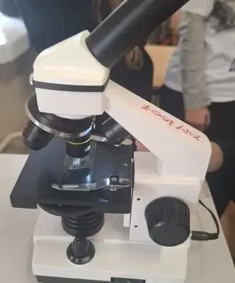 Klasa Vb odkrywa mikroświat – lekcja biologii z mikroskopem