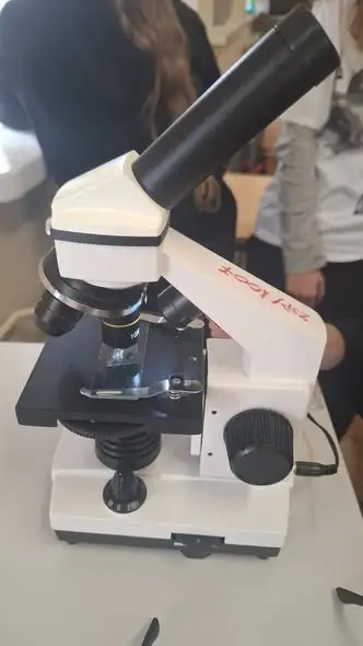 Klasa Vb odkrywa mikroświat – lekcja biologii z mikroskopem