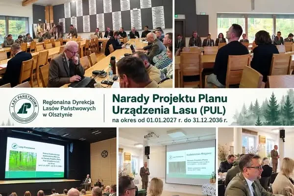 Narady nad planami urządzenia lasu w Mrągowie, Młynarach i Iławie zakończone pozytywnymi opiniami