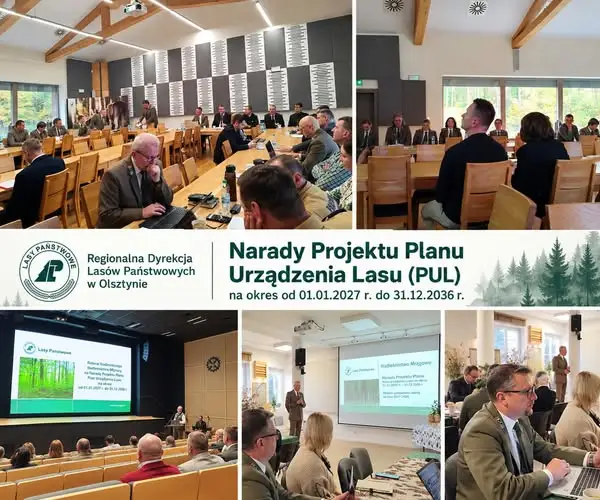 Narady nad planami urządzenia lasu w Mrągowie, Młynarach i Iławie zakończone pozytywnymi opiniami