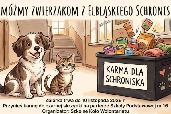 Zbiórka karmy dla elbląskiego schroniska – do 10 listopada