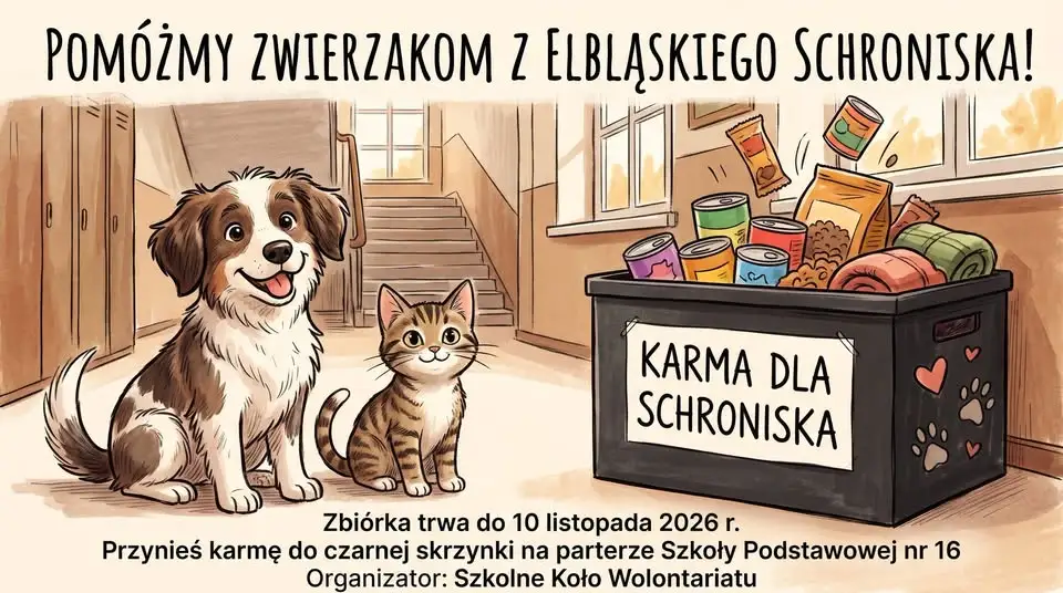 Zbiórka karmy dla elbląskiego schroniska – do 10 listopada